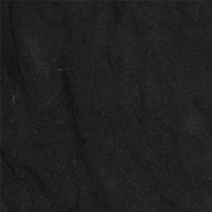  Black Panther