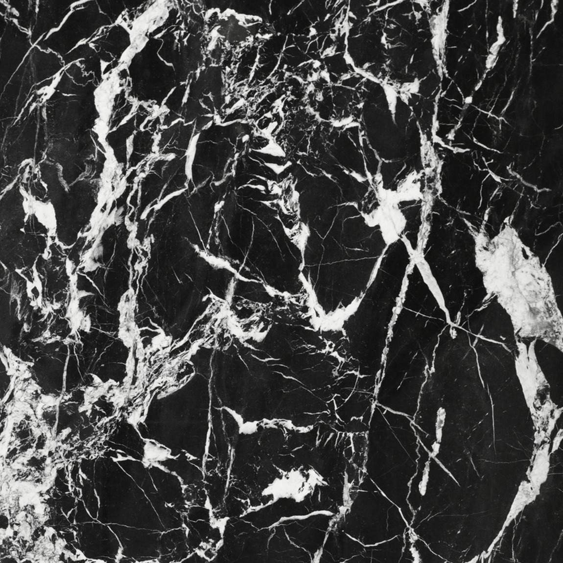 Calacatta Black